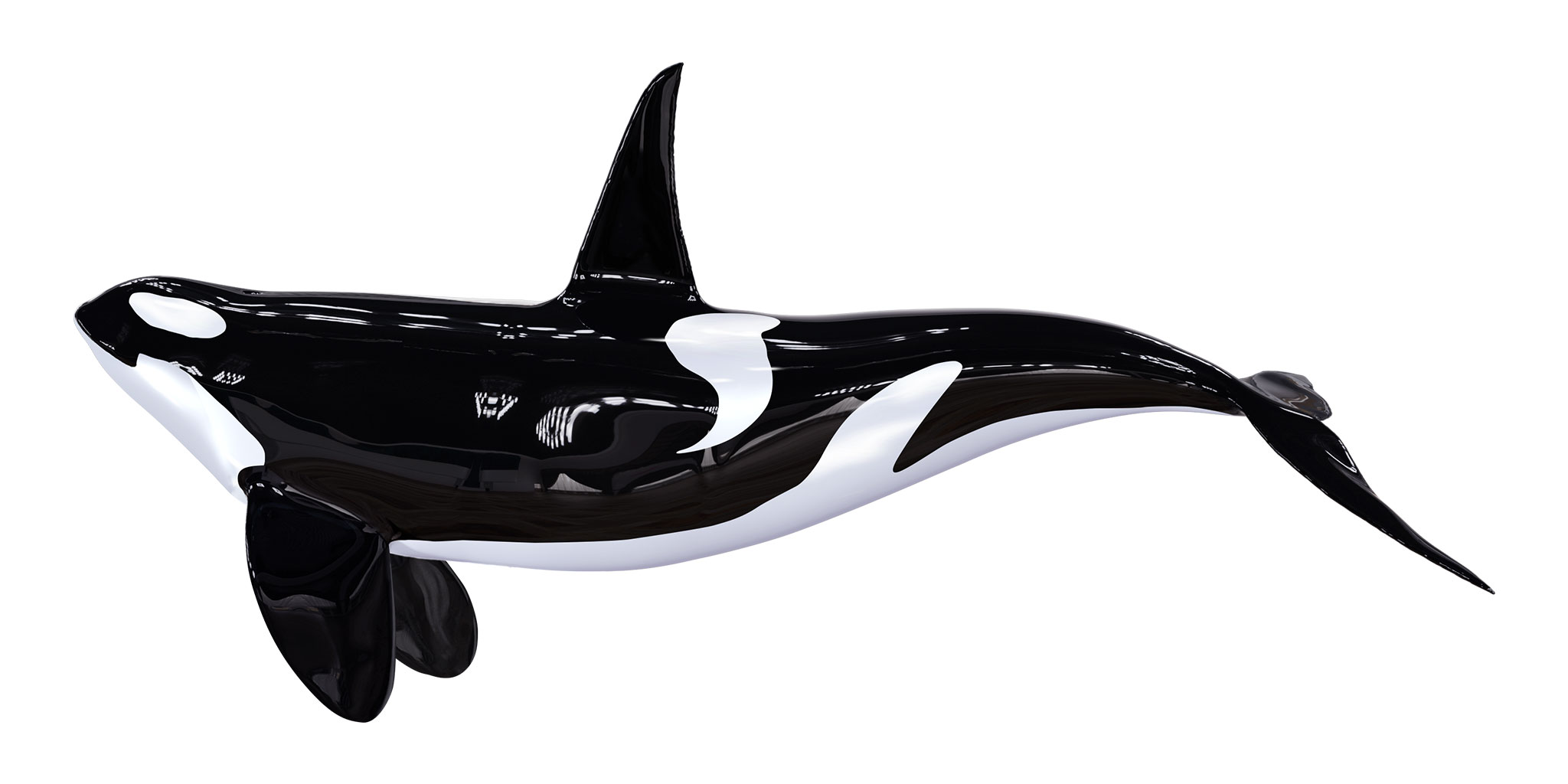 Tears of an Orca: Escaping Captivity, 2023